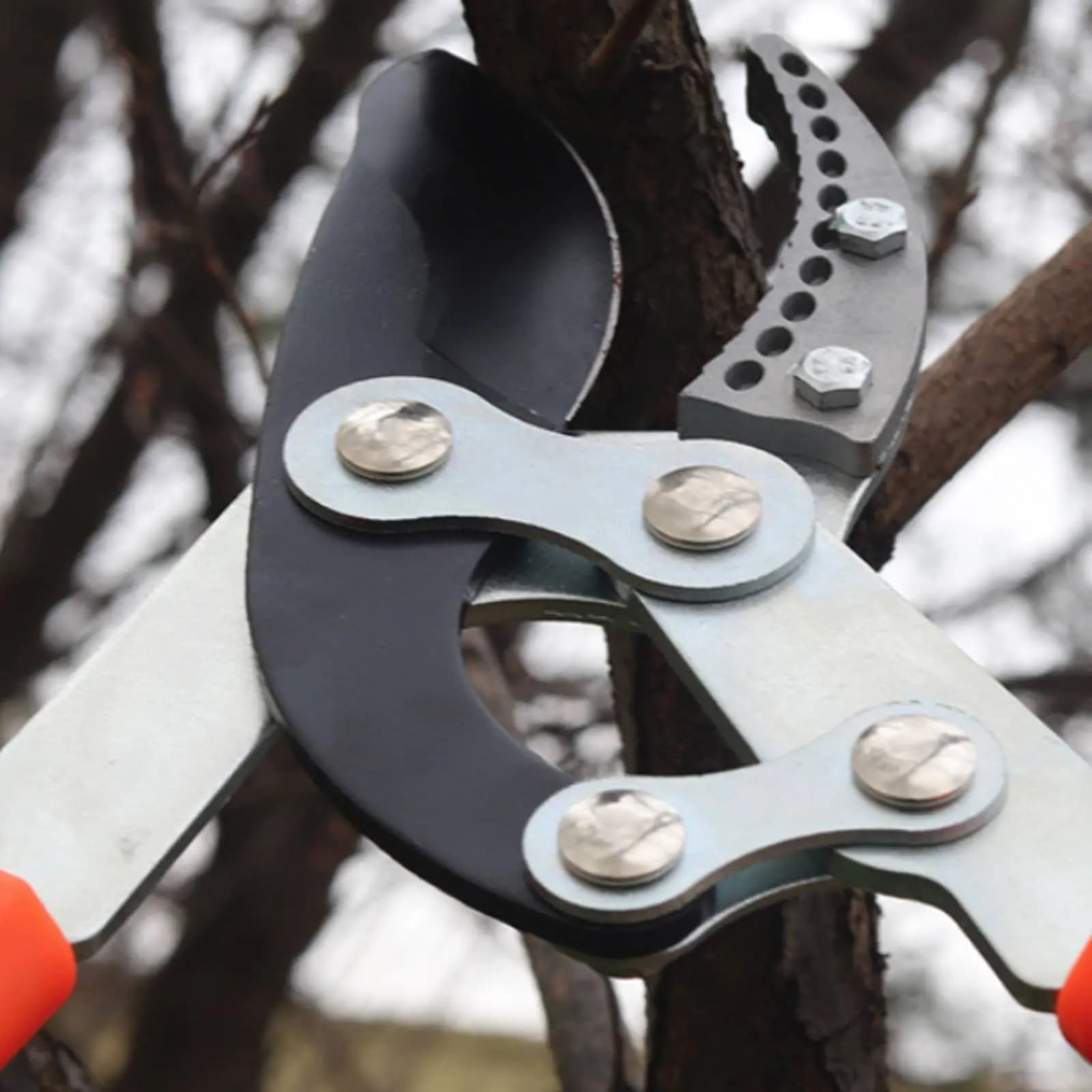 Telescopic Branch Pruners Sharp Blade Sturdy Duty Tree Pruners Pruning Shears Comfortable Grip Gardening Tool Non-Stick Coating