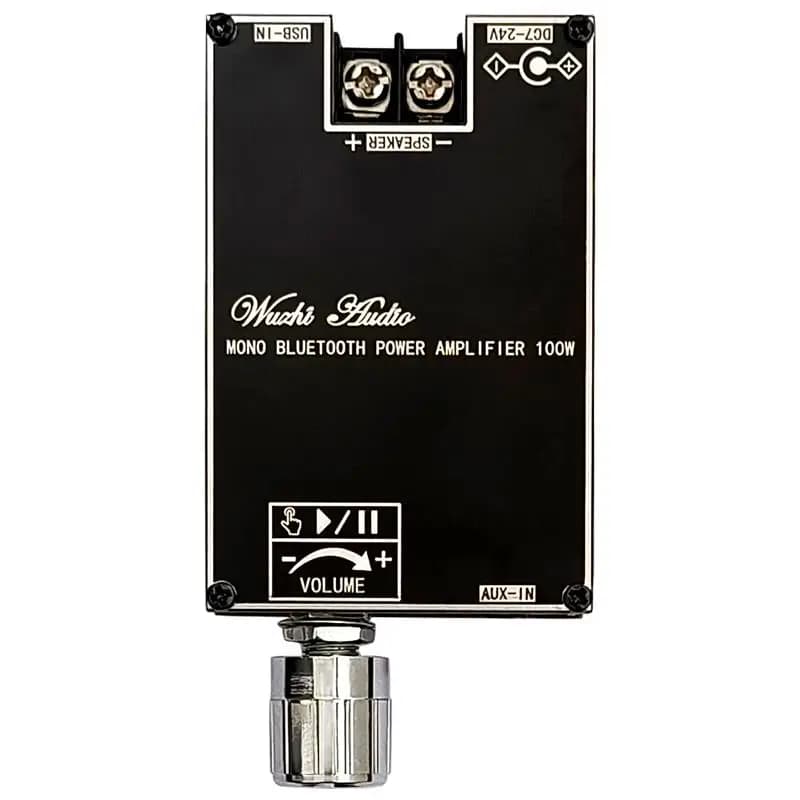 Bluetooth 5.1 TPA3116 D2 Mono 100W Bt Audio Power Amplifier Module AMP Amplificador Home Theater With TWS Mode