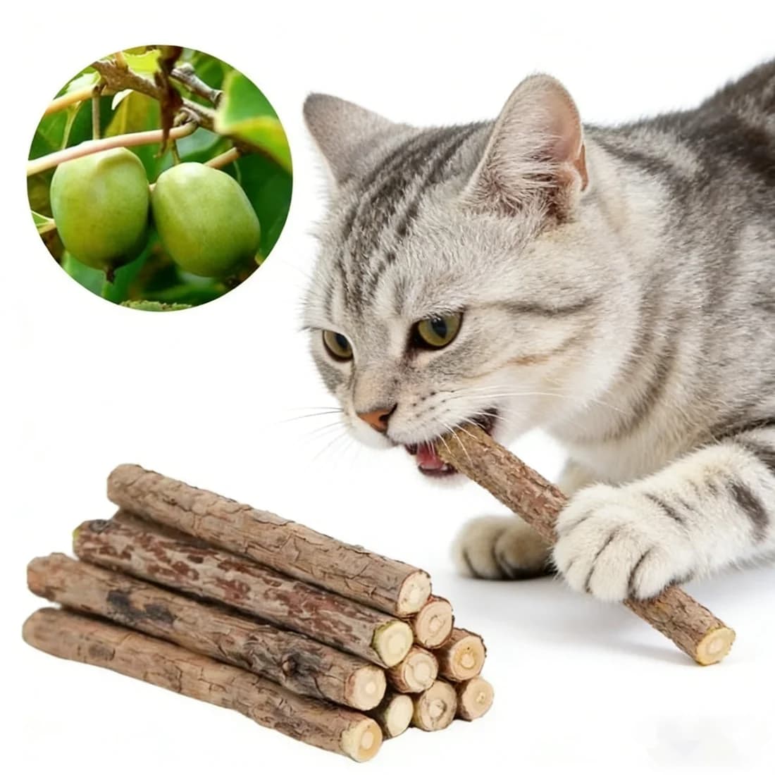Catnip Chew Sticks 20Pcs, Natural Woodruff Cat Toys - for Teeth Cleaning & Kitten Entertainment