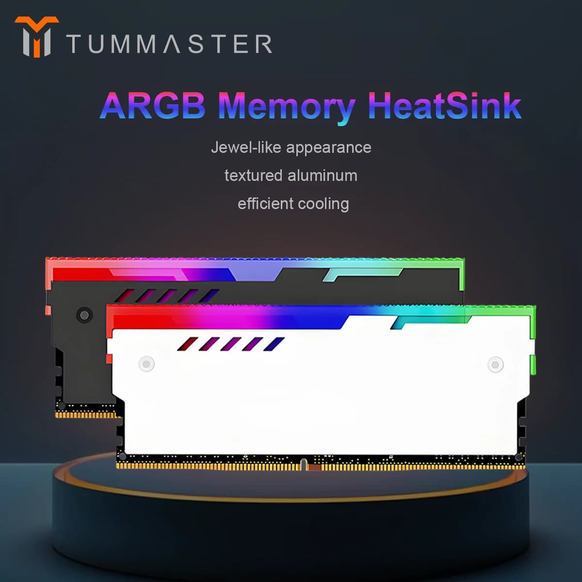 TUMMASTER Computer ARGB RAM Memory Heatsink Cooler with Thermal Conductive Pad for Desktop PC Memory DDR2/DDR3/DDR4/DDR5