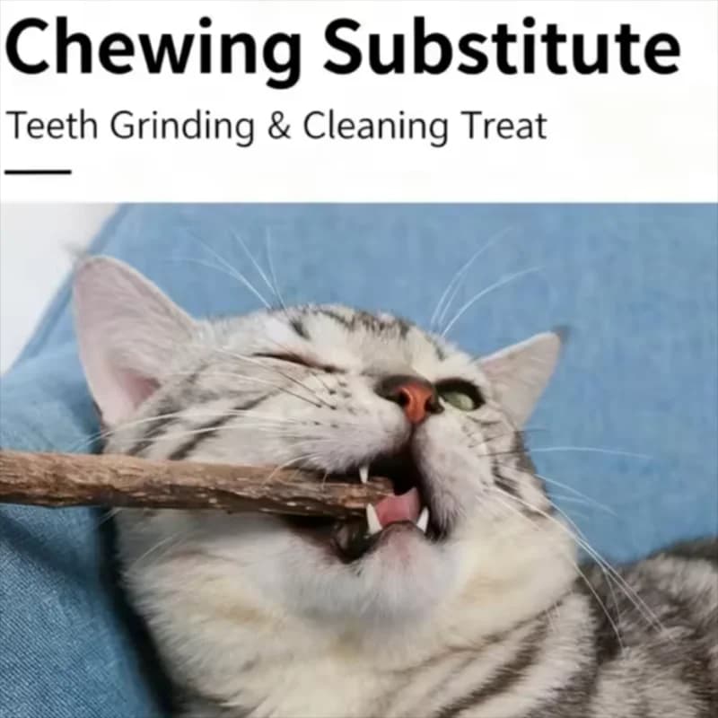 Woodruff Sticks for Cats Natural Catnip Chew Sticks Teeth Molar Chewing Toys for Cat Kitten Gifts