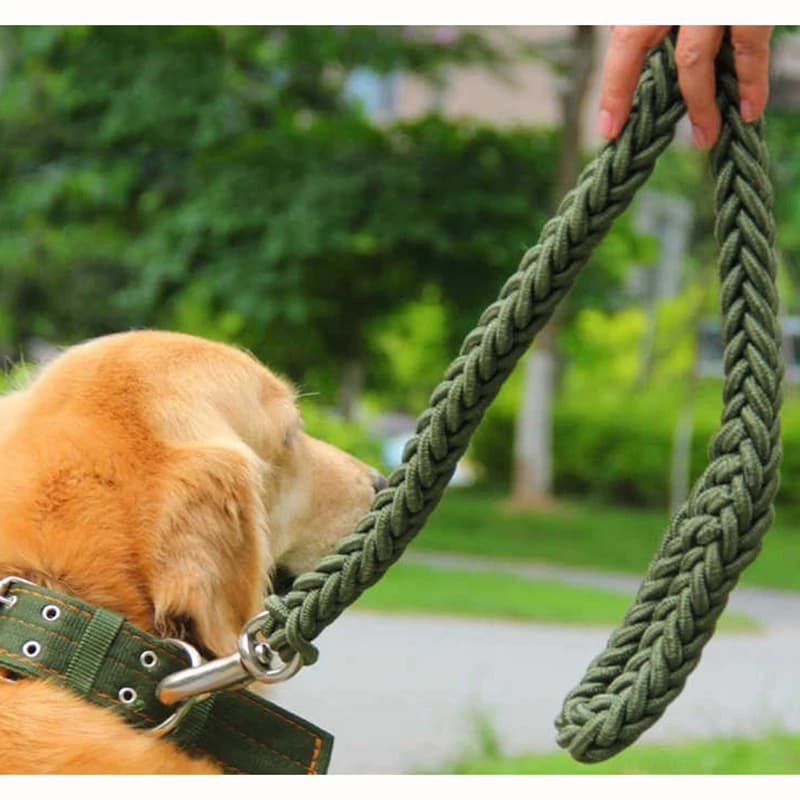 Nylon Dog Harness Leash For Medium Large Dogs Leads Pet Training Running Walking Safety Mountain Climb Dog Leashes Ropes Supply